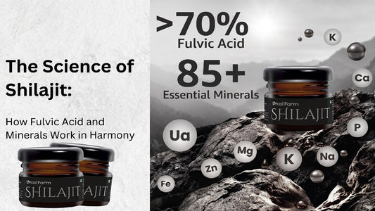 The Science of Shilajit: How Fulvic Acid and Minerals Work in Harmony
