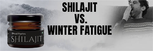 Shilajit vs. Winter Fatigue: How to Stay Energetic During the Chilly Season